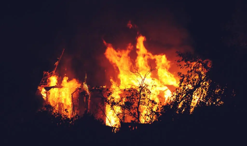 A fierce blaze engulfs a structure at night, with towering flames consuming the silhouette of trees against the darkness.